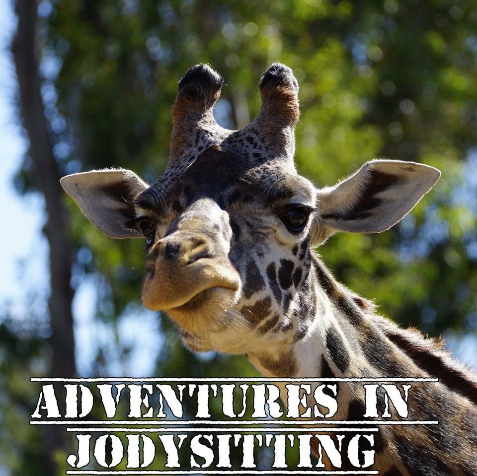 Adventures in Jodysitting Logo